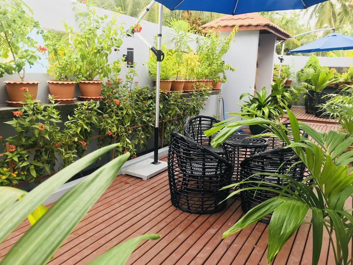 Island Guest house 3*