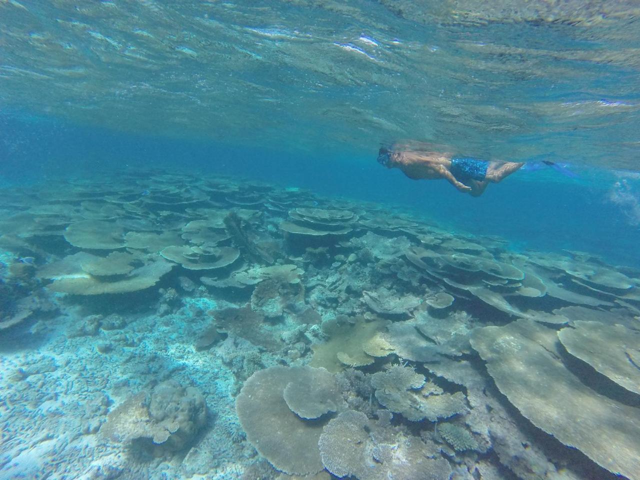 Island Gasthof Ukulhas
