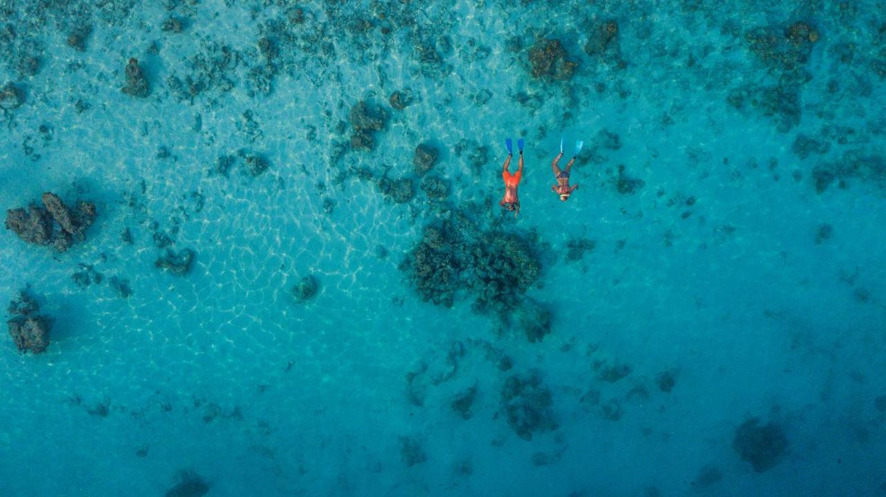 Island Konukevi